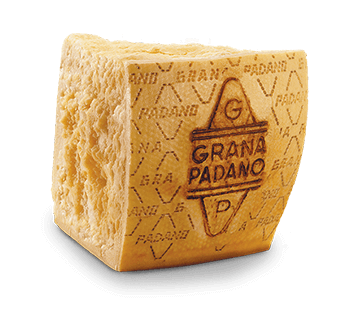 parmesan grana padano 2023