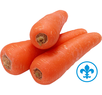 5saveurs carotte qc