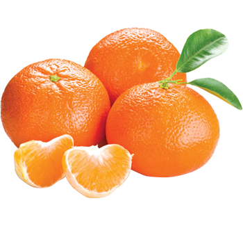 5saveurs clementine