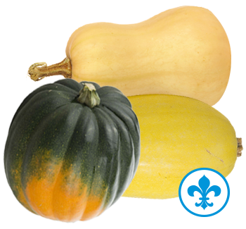 5saveurs courges qc