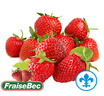 5saveurs fraises fraisebec 2023 qc