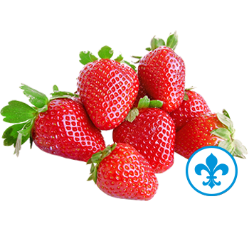 5saveurs fraises qc