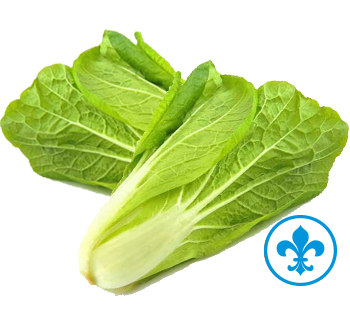 5saveurs laitue romaine qc