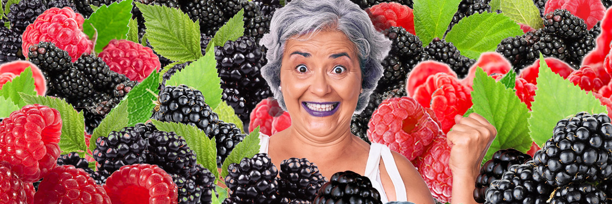 Framboises et mûres