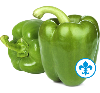 5saveurs poivron vert qc