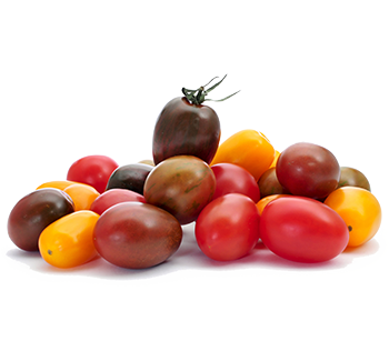 5saveurs tomates cerises couleurs