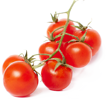 5saveurs tomates cerises rouges