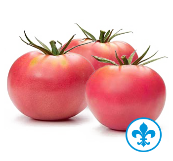 5saveurs tomates roses qc